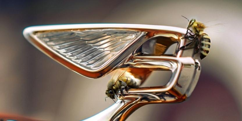 Bentley plans to fully electrify its lineup